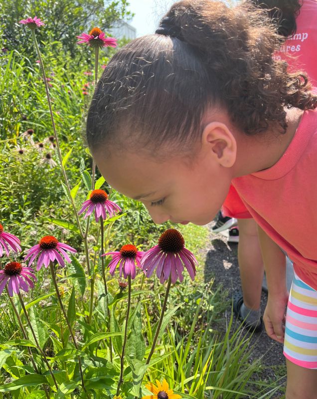 A girl bending over and sniffing a pink flower. 